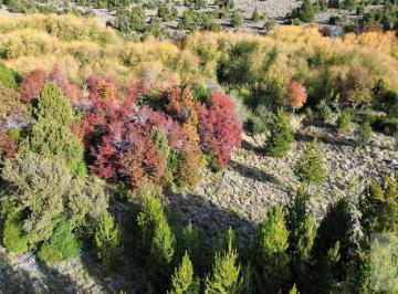Terreno · 1483m² · Venta Terreno con Costa de Rio Quilquihue