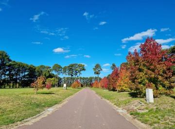 Terreno · 1600m² · Terreno en Venta - 1600 m² - Los Pinares Country Club, Exaltación de La Cruz