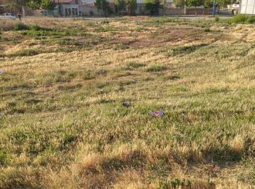Terreno · 324m² · Terreno en Venta - 324.90 m² - General Roca, Río Negro