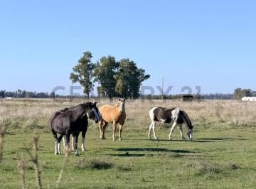 Campo · 37m² · Campo Venta 37 Ha General Las Heras