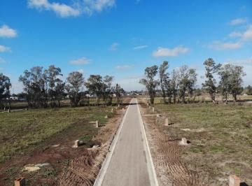 Terreno · 520m² · Terreno en Venta - 520.52 m² - Santa Sofía, Pilar del Este