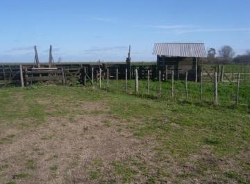 Campo · 5120000m² · Campo en Venta - 5.120.000 m² - General Lavalle