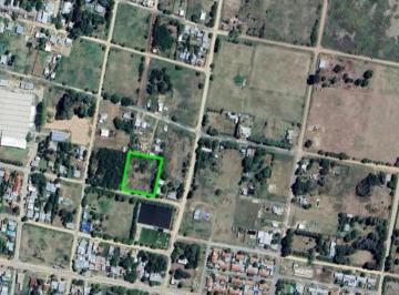 Terreno · 3383m² · Terreno en Venta - 3.383 m² - Carmen de Areco