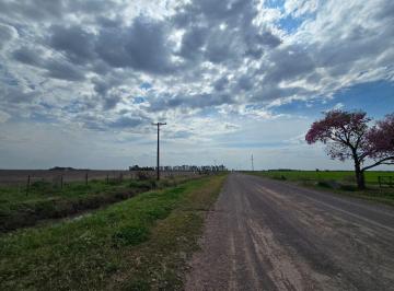 Campo · 14ha · Se Vende Campo Agrícola