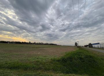 Terreno · 21000m² · 7 Ha Industriales Autop. Rosario - B Aires