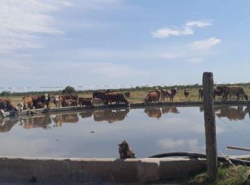 Campo · 300ha · Venta / Campo Ganadero 1385 Hectáreas / Huanqueros