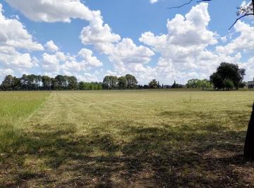 Terreno · 10043m² · Lote en Venta de 1 Hectárea en Estancia de La Macarena.