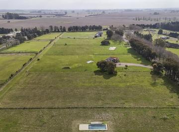 Terreno · 10043m² · Chacra en Venta Haras La Macarena | 1 Ha | Fondo Noroeste | Capilla del Señor