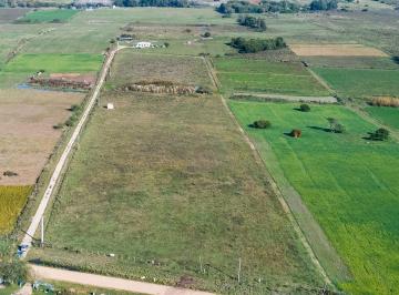 Campo · 4ha · Venta de Campo 4 Ha con Tajamar Ruta 75