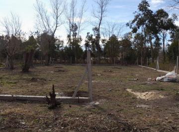 Terreno · 620m² · Lote Terreno Exaltacion de La Cruz 630 m