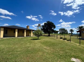 Campo · 260000ha · Chacra
