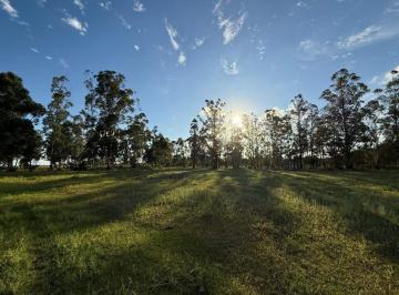Terreno · 1000m² · Lote en Venta en Colonia Carolina