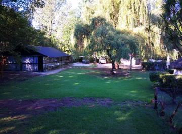 Hermoso parque con añosos Sauces · Monoambiente con Parque y Piscina