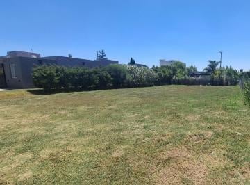 Terreno · 481m² · Lote Central en San Ramón - Pilar del Este