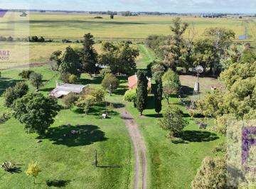 Campo · 150ha · Venta de Campo 77 Hectáreas, Baradero, Provincia de Buenos Aires, Productivo Agrícola