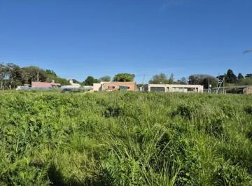 Terreno · 690m² · Terreno en Venta - 690 m² - Villa Elisa