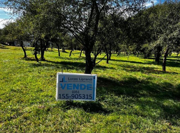Terreno · 1056m²