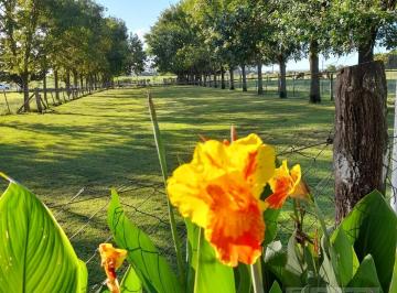 Terreno · 489m² · Campo 16 Ha Sobre Calle de Asfalto - en Baradero - Pozzi Inmo