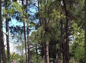 Terreno · 1700m² · Venta - Lote de 1700 m² en Barrio Cerrado Amarylis – Posibilidad de Financiar