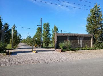 Terreno · 250m² · Venta | Canning | Terreno | Barrio Semi Cerrado Don Nino - Estilo Campo 250 m²