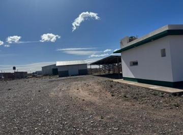 Bodega-Galpón , Añelo · Base Logística/industrial en Añelo – Vaca Muerta