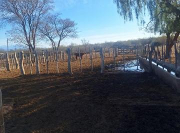 Campo · 5m² · Campo Ganadero Los Portezuelos