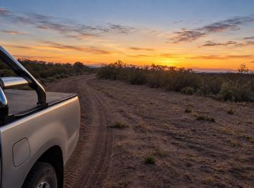 Campo · 5ha · Inmoestate Vende Campo Ganadero en San Rafael, Mendoza