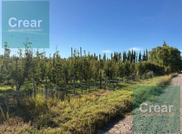 Campo · 58000m² · Chacra en Venta