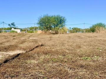 Terreno · 356m² · Venta Tres Terrenos Contiguos en Algarrobos I