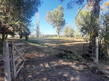 Campo · 515161m² · Finca en El Carrizal, Lujan de Cuyo