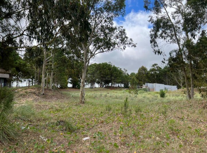 Terreno · 975m²