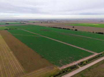 Campo · 250000m² · Campo en Venta