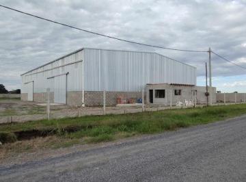 Bodega-Galpón · 1000m² · Alquiler Galpón Industrial 1.000 m² a Estrenar