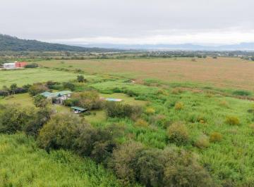 Terreno , Paraje San Antonio · Vendo Importante Terreno en El Encón