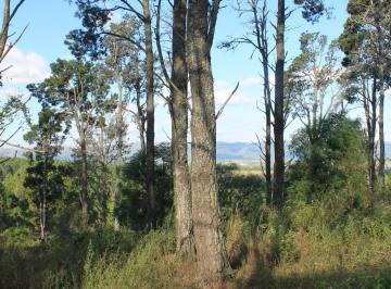 Terreno , Los Reartes · Venta 1 Ha con Escritura. 13 Min de Villa General Belgrano