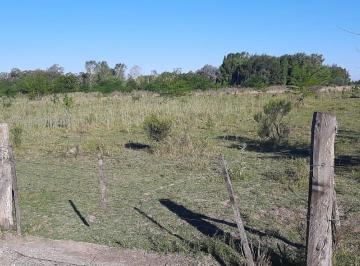 Terreno · 5000m² · Terreno en Venta en Presidente Perón