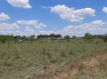 Terreno · 5000m² · Terreno en Venta en Presidente Perón