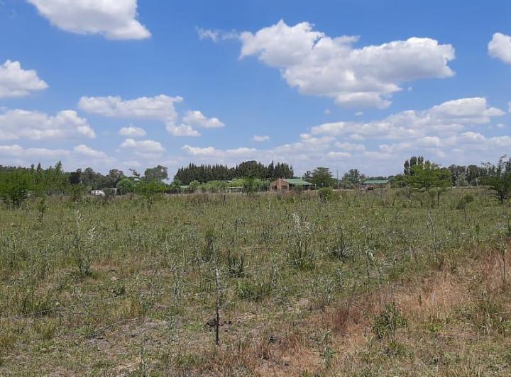 Terreno · 5000m²