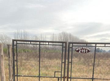 Terreno · 220000m² · Venta Terreno 220.000 m² del Viso, Pilar