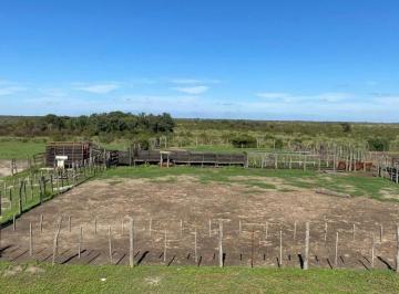 Campo · 2485ha · En Venta Campo Ganadero en Golondrinas, Santa Fe