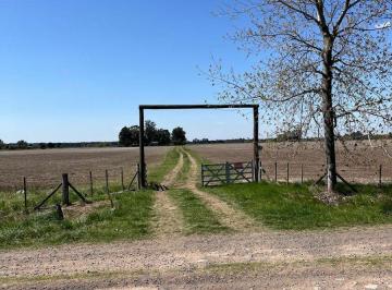 Campo · 10ha · Campo Agricola en Venta en Baradero