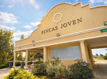 Terreno · 655m² · Lote en Venta Fincas Joven San Vicente Financiado