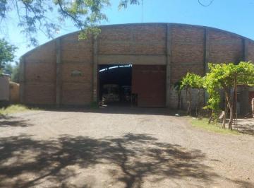 Bodega-Galpón · 1233m² · Venta de Galpon San Martin Acceso Ruta N7 Mendoza