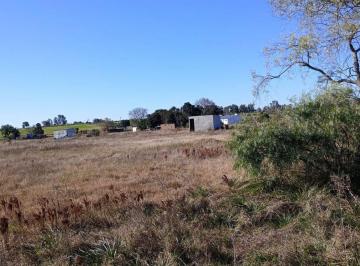 Terreno · 120000m² · Excelente Chacra Sobre Ruta 3