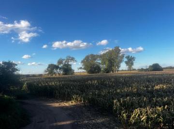 Campo , Jesús María · Campo 100 % Agrícola en Jesús María Prov. de Córdoba 50% Financiado a 2 Años