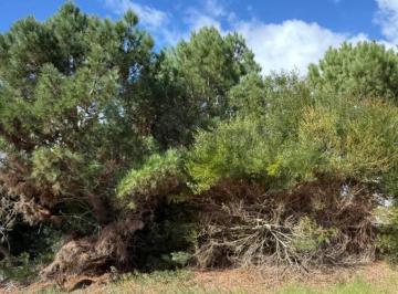 Terreno · 1015m² · Venta Lote Costa Esmeralda Barrio Deportiva