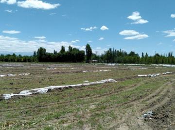 Terreno , Tunuyán · Terreno de 2938 m² en Venta, Tunuyán
