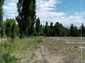 Terreno , Colonia Las Rosas · Terreno de 2938 m² en Venta, Tunuyán