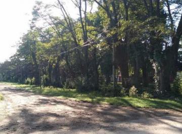Terreno · 800m² · Terreno en Venta - 826,25 m² - General Rodríguez