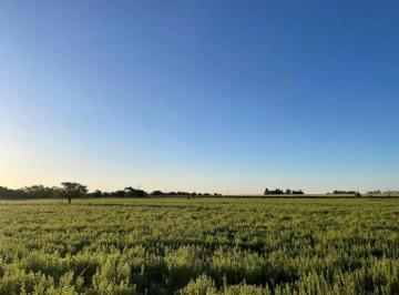 Terreno · 10000m² · Terreno en Venta - 10.000 m² - San Antonio de Areco